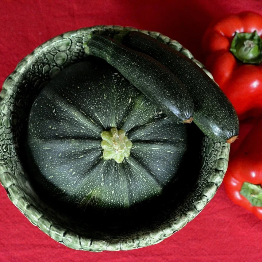 Zucchini Tondo di Piacenza 3